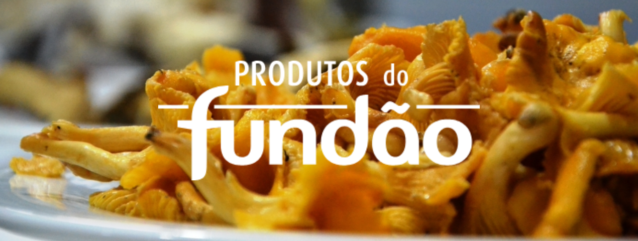 Banner Produtos Do Fundao